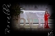 18 Rosalbac5067838-dc22-464c-baf0-dff8d895ed91.jpg